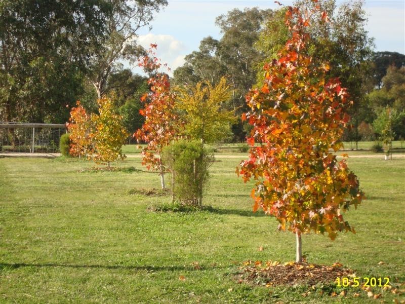 25 Yarck Village Place, Yarck VIC 3719