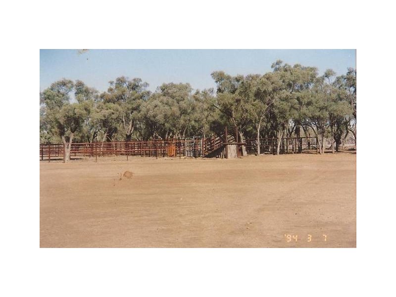 “Merrinong” Goodooga/Brenda Road, Goodooga NSW 2831