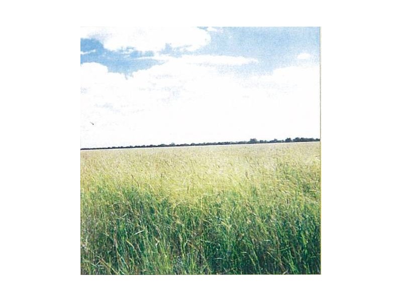 “Merrinong” Goodooga/Brenda Road, Goodooga NSW 2831