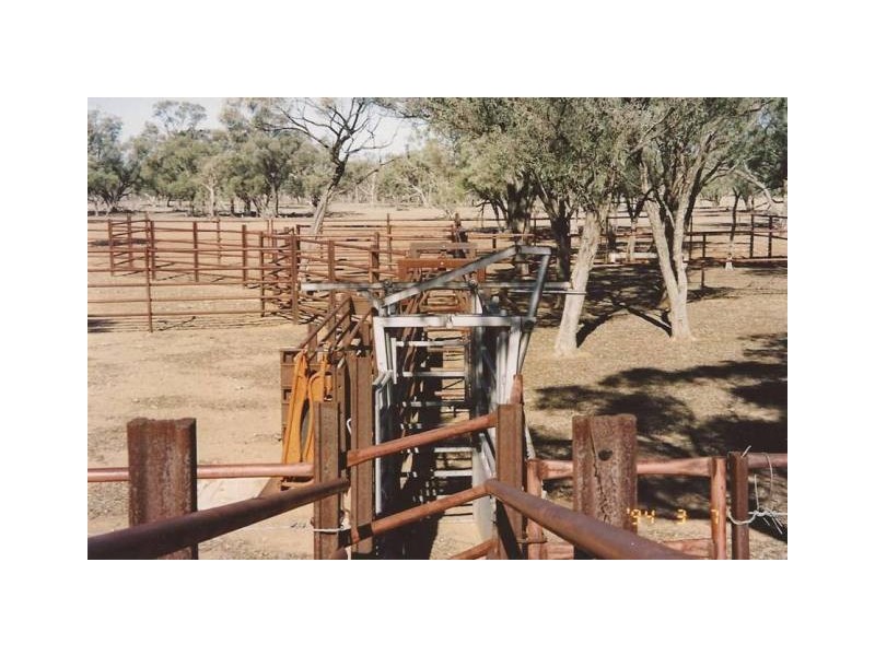 “Merrinong” Goodooga/Brenda Road, Goodooga NSW 2831