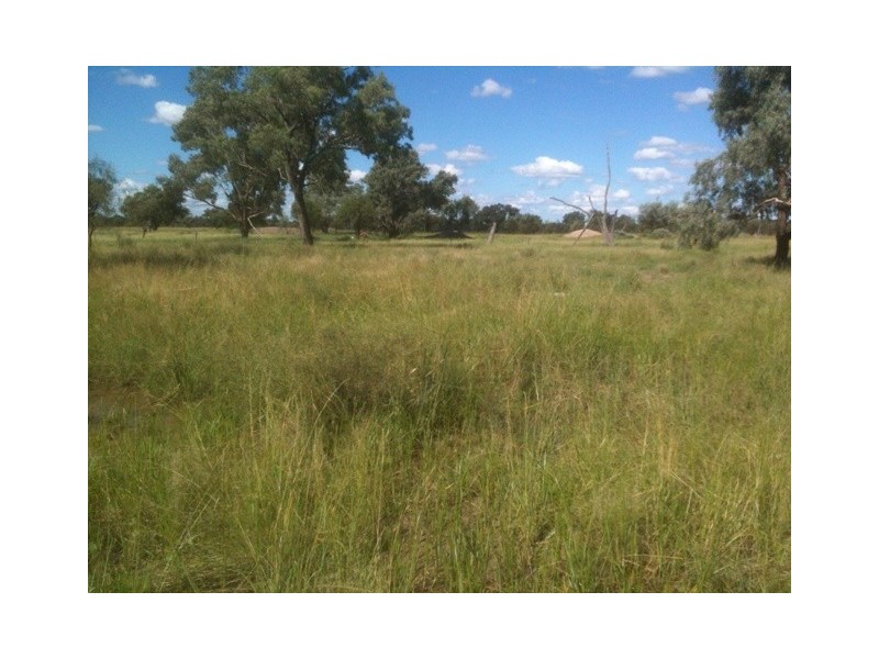 a Goodooga/Brenda Road, Brewarrina NSW 2839