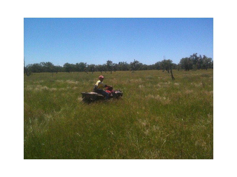 a Goodooga/Brenda Road, Brewarrina NSW 2839