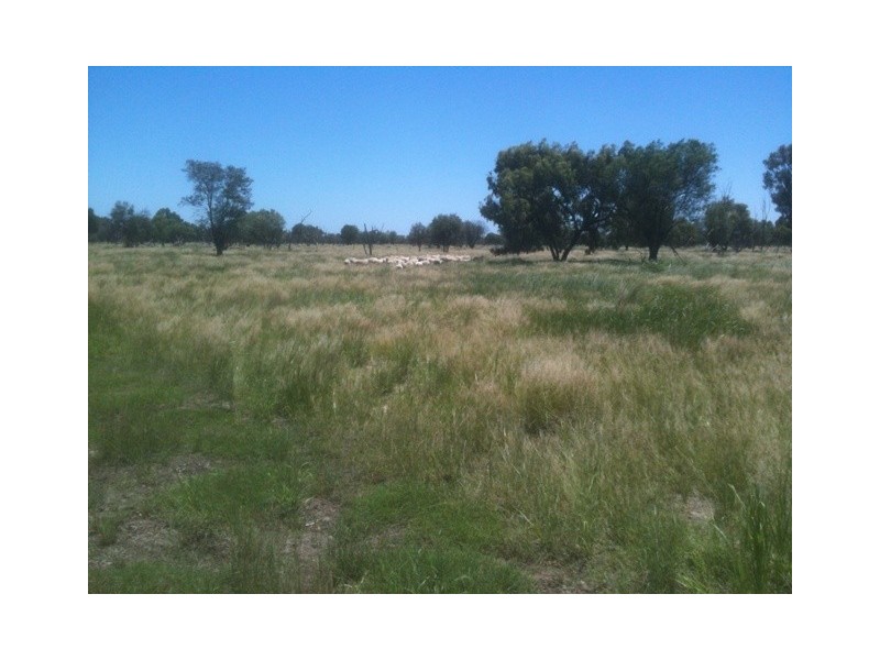 a Goodooga/Brenda Road, Brewarrina NSW 2839
