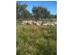 a Goodooga/Brenda Road, Brewarrina NSW 2839