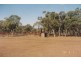 a Goodooga/Brenda Road, Brewarrina NSW 2839