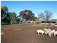 Berrigan NSW 2712