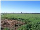 Berrigan NSW 2712