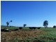Berrigan NSW 2712