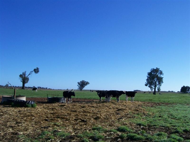 Berrigan NSW 2712