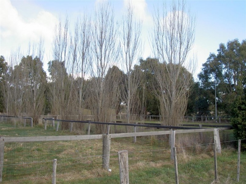 Willowmavin VIC 3764