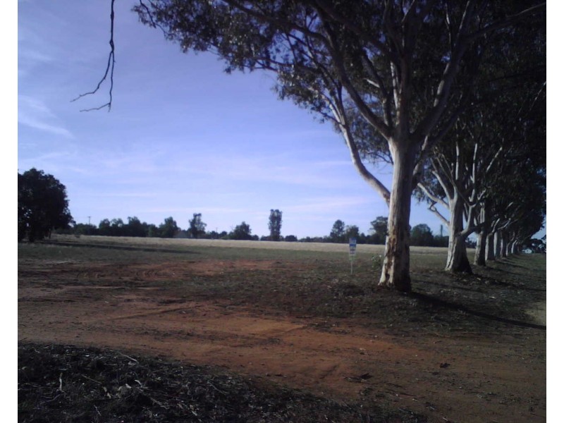 52-58 Coreen St, Oaklands NSW 2646