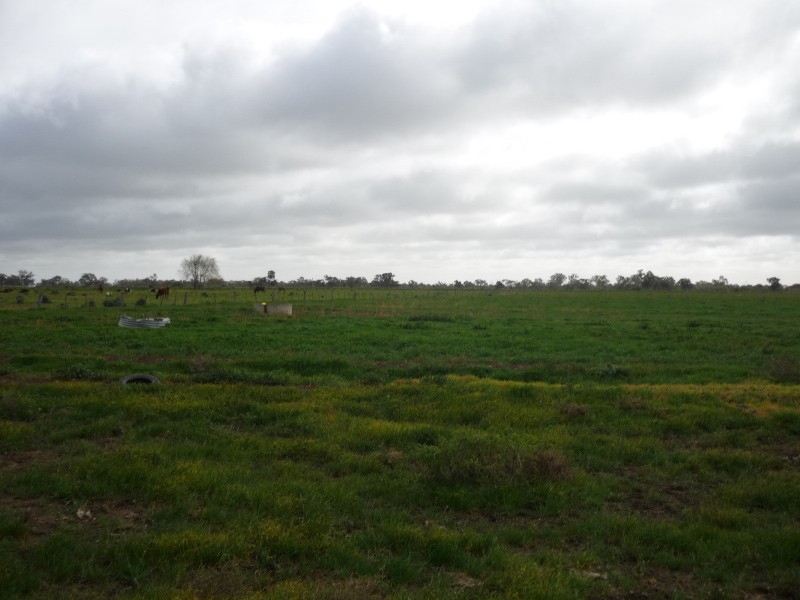 827 Koroop Road, Cohuna VIC 3568