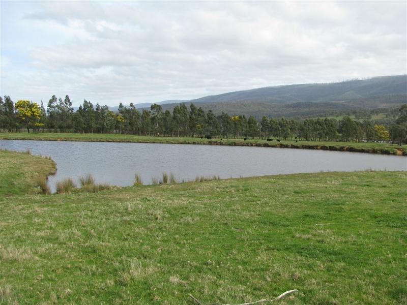 42 South Cathedral Lane, Buxton VIC 3711