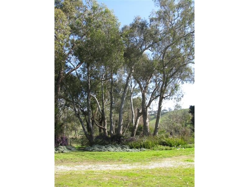 11 McGuigans Road, Kanumbra VIC 3719