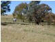 Kilmore VIC 3764