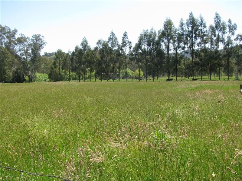 785 Back Eildon Road, Eildon VIC 3713