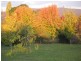 785 Back Eildon Road, Eildon VIC 3713