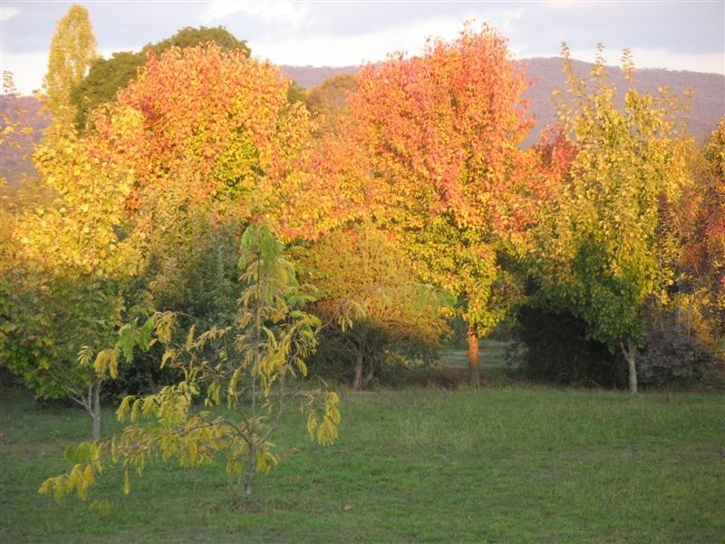 785 Back Eildon Road, Eildon VIC 3713