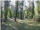 1560 Maroondah Highway, Buxton VIC 3711
