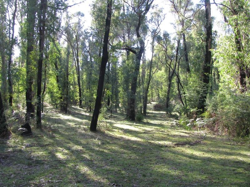 1560 Maroondah Highway, Buxton VIC 3711