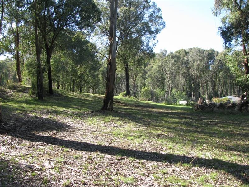 1560 Maroondah Highway, Buxton VIC 3711