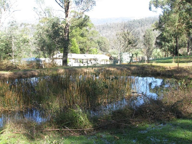 1560 Maroondah Highway, Buxton VIC 3711