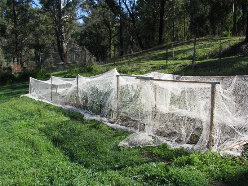 1560 Maroondah Highway, Buxton VIC 3711