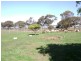 46 Lake Charm East Road, Lake Charm VIC 3581