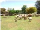 46 Lake Charm East Road, Lake Charm VIC 3581
