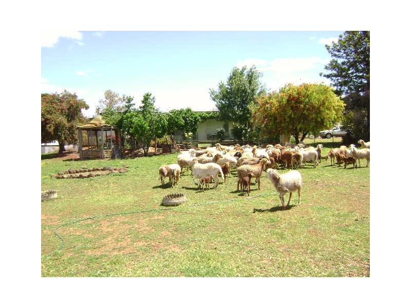 46 Lake Charm East Road, Lake Charm VIC 3581