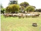 46 Lake Charm East Road, Lake Charm VIC 3581