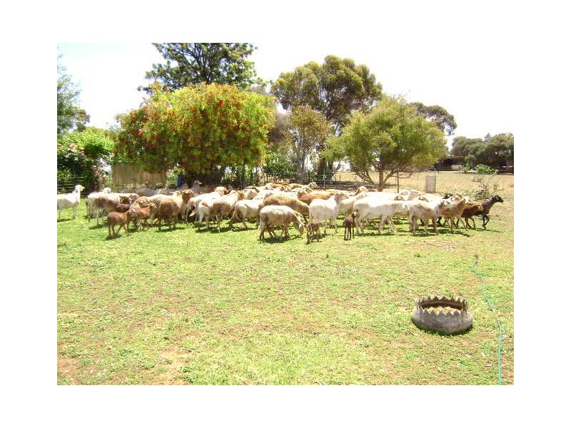 46 Lake Charm East Road, Lake Charm VIC 3581