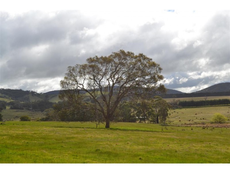 Willowmavin VIC 3764