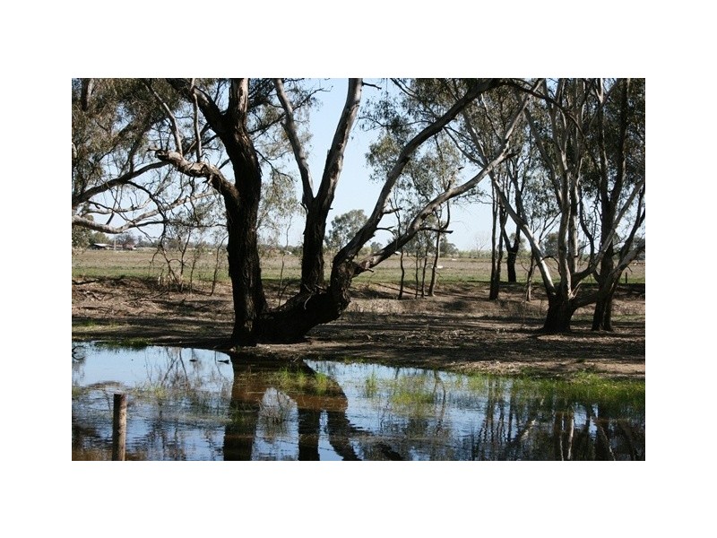 Swan Hill VIC 3585