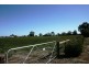 Swan Hill VIC 3585