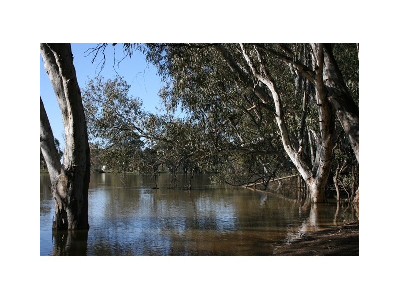 Swan Hill VIC 3585