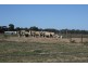 Swan Hill VIC 3585