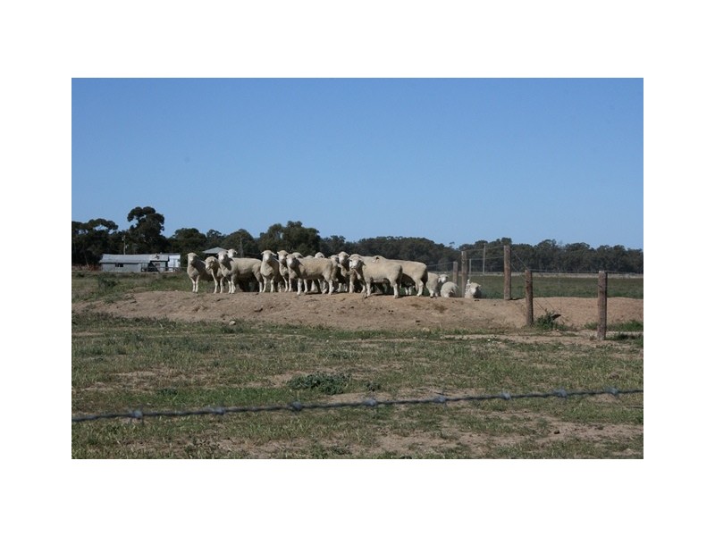 Swan Hill VIC 3585