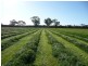 Edenhope VIC 3318