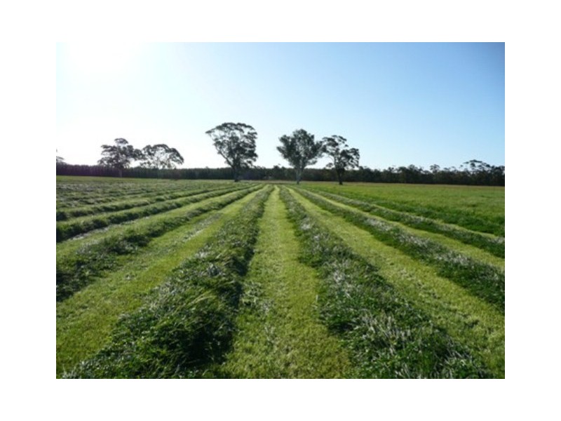 Edenhope VIC 3318