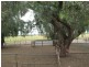 Edenhope VIC 3318