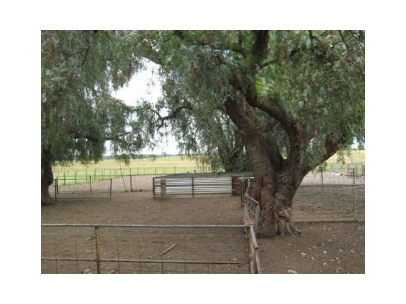 Edenhope VIC 3318
