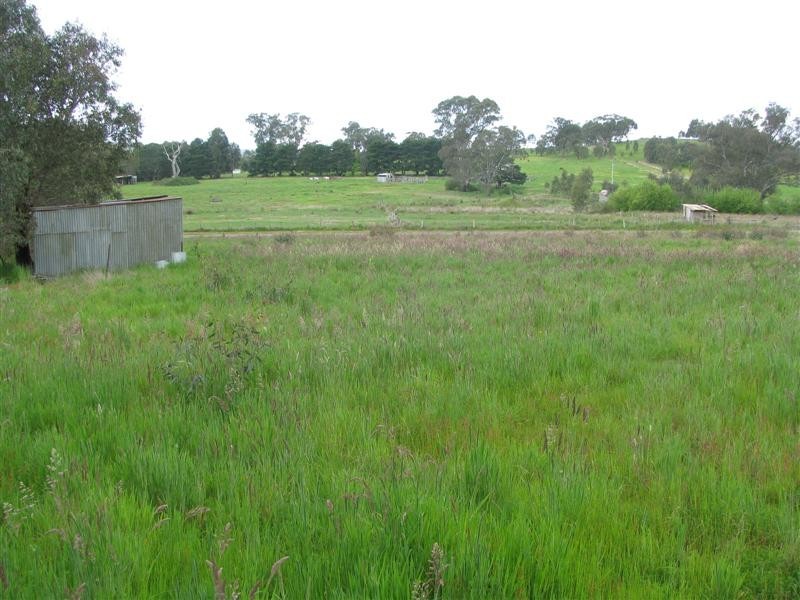 12 Wattle Street, Alexandra VIC 3714