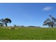 Lancefield VIC 3435