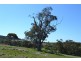 Lancefield VIC 3435