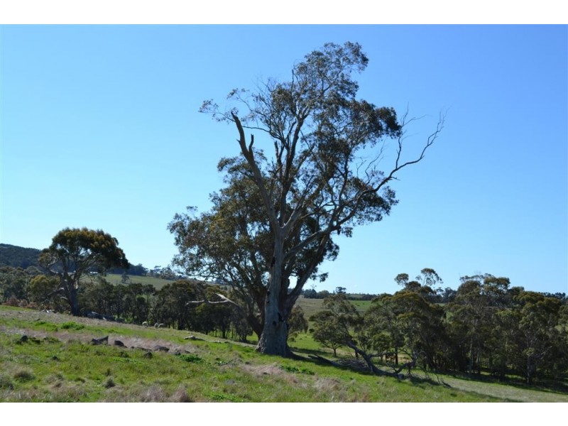 Lancefield VIC 3435