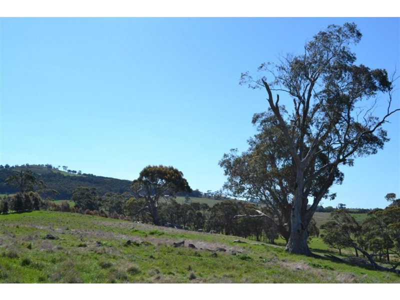 Lancefield VIC 3435