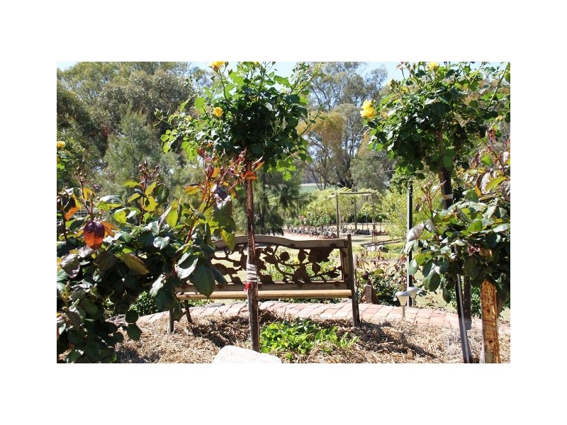 303 River Road, Nyah VIC 3594