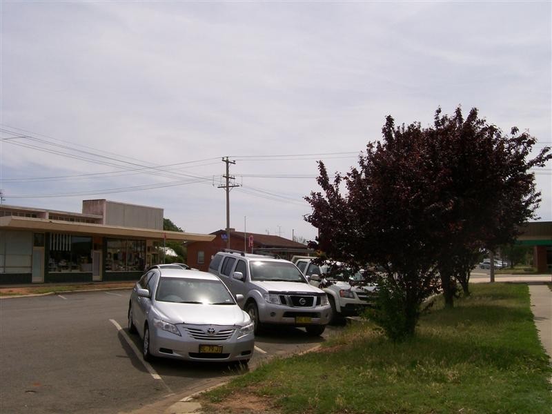 54 Denison St, Finley NSW 2713