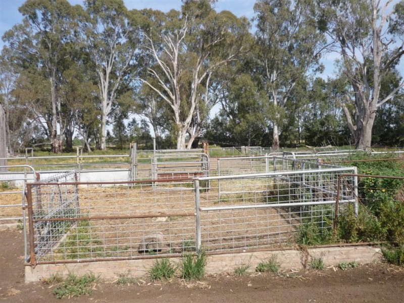 163 Southern Road, Koondrook VIC 3580